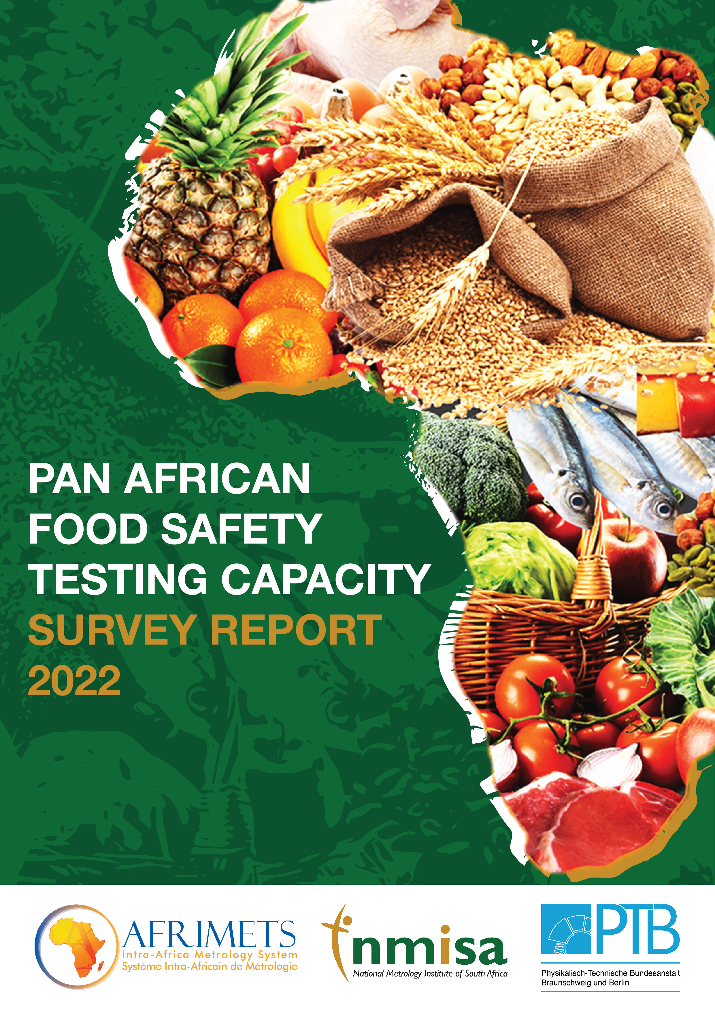 Pan African Survey Report - Front Cover .jpg